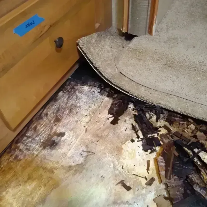 Wood Floor Water Damage in Central City, CO